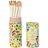 image:imageTombow 51533 Irojiten Colored Pencil Desk Cup 18Piece Set Cottage