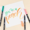 image:imageTombow 56239 Dual Brush Pen Art Markers Just Peachy 6Pack Blendable Brush and Fine Tip Markers
