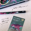 image:imageTombow Pencil Kakata Pencil 2B Dinosaur A Set of 12 Pencils 2 Patterns x 6  Original Card  Glitter Stickers PCA371AAZA set