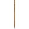 image:imageTombow Pencil Pencil Tree Story HB 1 Dozen LAKEAHBB