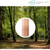 image:imageTombow Pencil Pencil Tree Story HB 1 Dozen LAKEAHBHB
