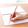 image:imageTombow Pencil Pencil Tree Story HB 1 Dozen LAKEAHBHB