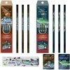 image:imageTombow Pencil Kakata Pencil 2B Dinosaur A Set of 12 Pencils 2 Patterns x 6  Original Card  Glitter Stickers PCA371AAZB Set